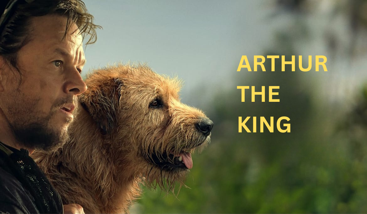 Arthur the King Cast, Plot, and Everything We Know